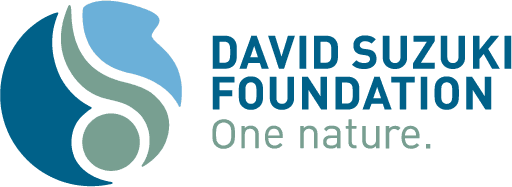 DavidSuzuki Logo
